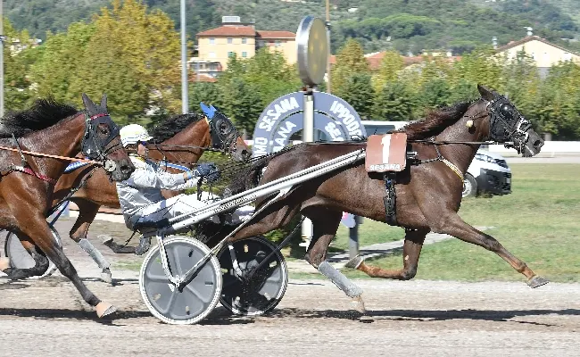 Ippica, Sabato pomeriggio, all’ippodromo Snai Sesana, ultima giornata di trotto di settembre e penultima della stagione con sette corse