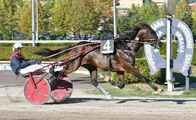 Ippica, all’Ippodromo Snai Sesana il sabato di trotto, che vale come penultima giornata della stagione, vede Fariba Cr vincere la prova clou, il Premio Filipp Roc