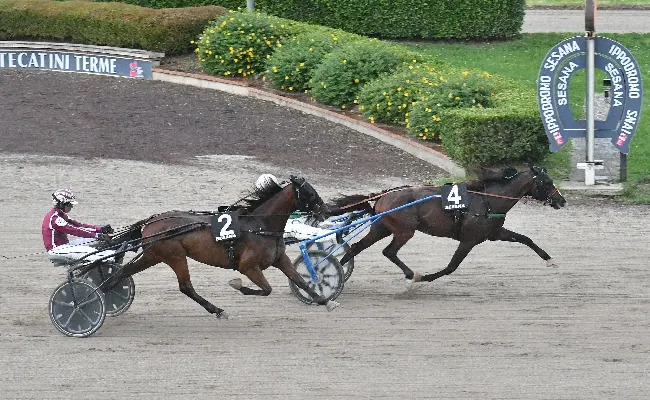 Ippica, giovedì all’ippodromo Snai Sesana chiusura di stagione con la 30^ giornata di trotto, la premiazione dei migliori operatori ippici del 2023 e una grande festa per tutti