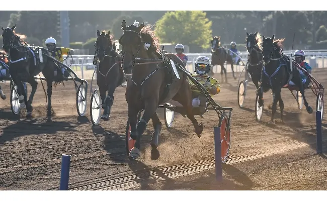 Ippica: sabato a Capannelle le aste dei trottatori, domenica il Derby