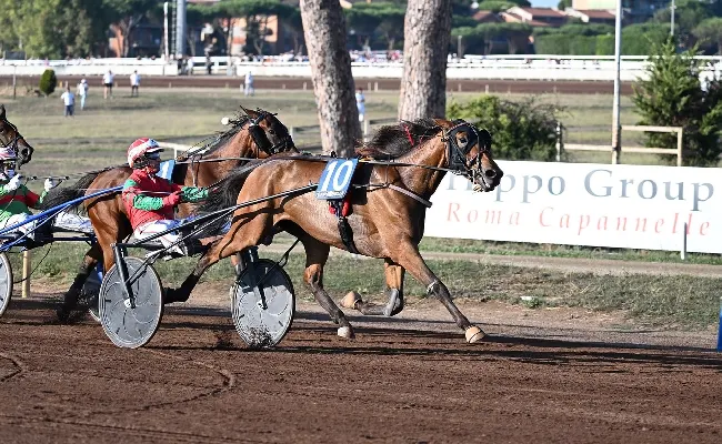 Ippica, Expo Wise As vince il 96° Derby Italiano del Trotto. Euphoria BI a sorpresa trionfa nelle Oaks