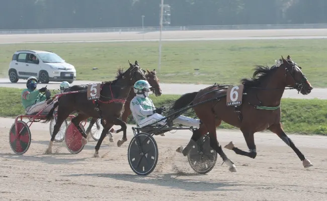 Ippica,all’Ippodromo Snai La Maura di Milano si riparte con la sessione di trotto autunno-inverno. Martedì, dalle ore 15, in pista con sette corse