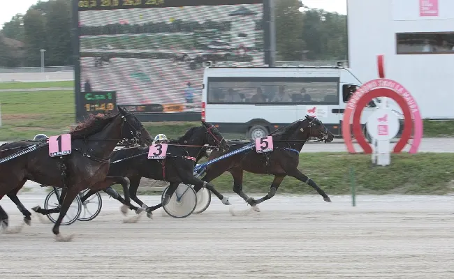 Ippica: venerdì di trotto all’Ippodromo Snai La Maura di Milano con sette corse a partire dalle ore 14:40