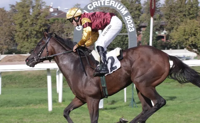 Ippica, all’Ippodromo Snai La Maura Vivid Wise As si conferma campione assoluto vincendo il Gran Premio delle Nazioni per la terza volta consecutiva