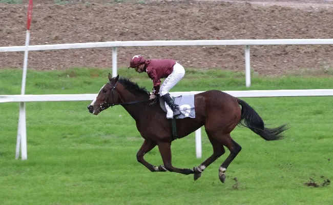 Ippica: all’Ippodromo Snai San Siro la Scuderia Topeeka viene celebrata dalla bella vittoria di Sujaya. Nel Premio Pier Vittoria Zaini, spettacolo in pista con il sigillo di Burning Lake