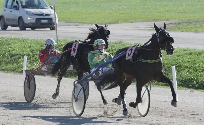 Ippica: all’Ippodromo Snai La Maura il “Trofeo Luigi Canzi” va all’allievo Lorenzo Talpo Jr alla guida di Don Saxo, mentre Follia D’Esi sbaraglia tutti nel Premio Deipera