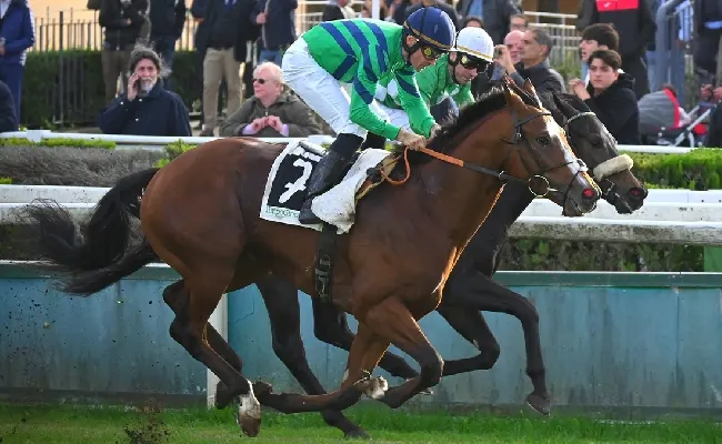 Ippica, Ippodromo Capannelle: Master trionfa nel Berdardelli. Noble Title conquista il Premio Umbria, Supereroe vince il Rumon e Mysterious Shadow il Criterium Femminile