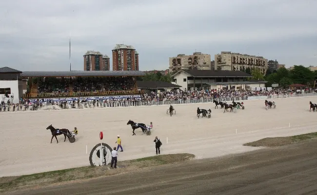 Fieracavalli: domenica tavola rotonda Masaf - Anact su allevatori cavalli da corsa