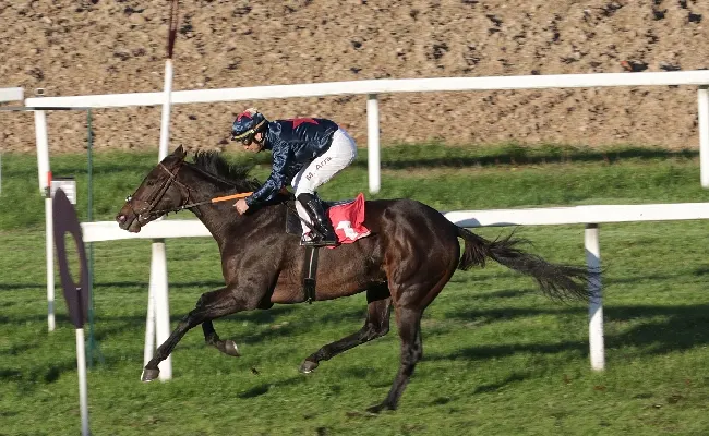 Ippica, all’ippodromo Snai San Siro Igazgato non delude e fa suo il Premio Giuliano Moroni. Negli handicap limitati, brilla Acheso nel Premio Pellegata e My Eternal Love nel Premio Pianca