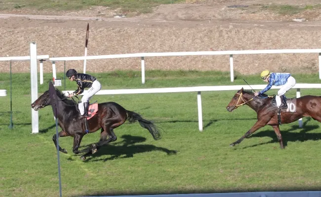 Ippica, all’Ippodromo Snai San Siro ultimo mercoledì della stagione di galoppo con sette prove tra cui il Premio Carlo Bascapé. Al via dalle ore 12:25