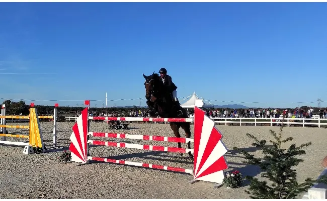 Equitazione, salto ostacoli: finale del Trofeo dei Nuraghi a Tanca Regia per i cavalli nati e allevati in Sardegna