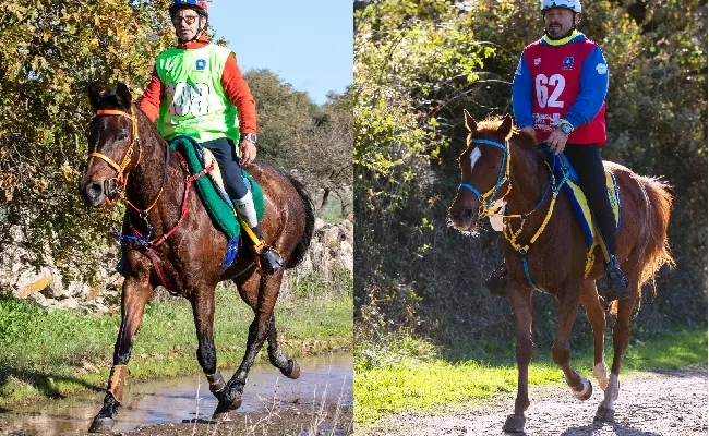 Endurance: Ignazio Mallei, Federica Mundula e Costantino Sanna sono i campioni regionali. A Tanca Regia anche la Coppa Sardegna, dove Giuseppe Mallei finisce davanti al padre Ignazio