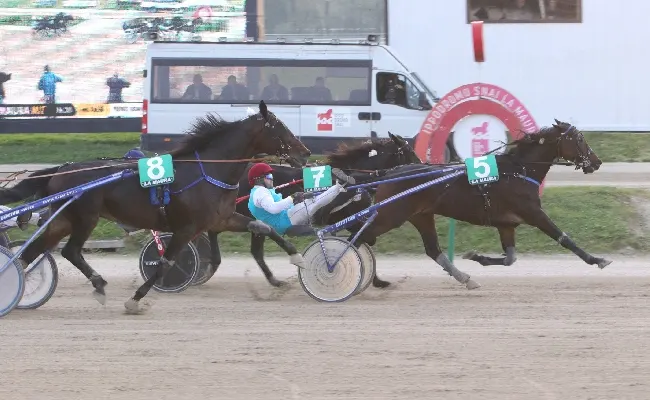 Ippica: all'ippodromo Snai La Maura domenica con tre prove condizionate, il trotto montato e i Gentlemen con il "Trofeo Obiettivo Casa'