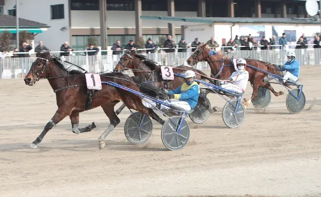 Ippica: mercoledì all’Ippodromo Snai La Maura vip in pista per la “Corsa delle stelle di Natale” e la prova valida come TQQ