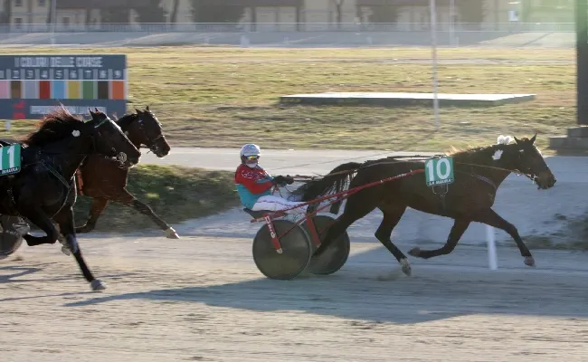 Ippica, all’Ippodromo Snai La Maura di Milano vigilia di Natale tra festa e commozione in ricordo di Baldi e Sciarrillo. In pista protagonista Elite d’Arc che vince il Premio Ringostarr Treb