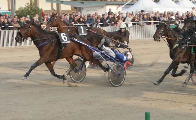 Ippica: il 3 gennaio a Milano, all’ippodromo Snai La Maura, scatta la stagione 2024 di trotto con sette prove