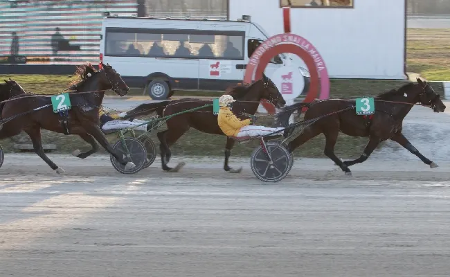 Ippica: la “prima” del 2024 all’ippodromo Snai La Maura di Milano dice Colobrì Jet che si aggiudica, con Alessandro Gocciadoro in Sulky, la Premio Aligero