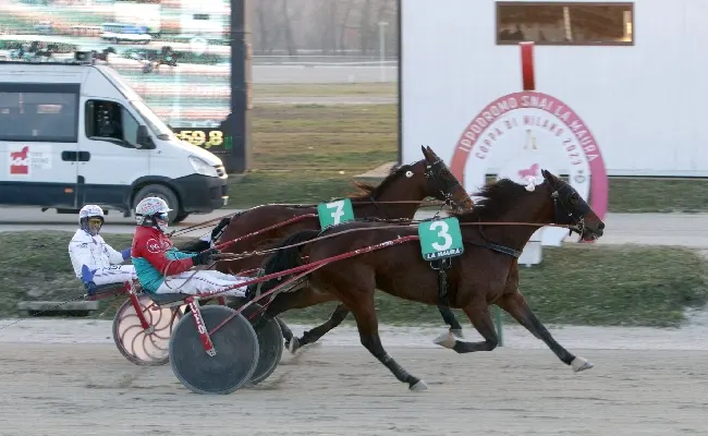 Ippica, all’Ippodromo Snai La Maura appuntamento con il trotto del mercoledì per la terza uscita stagionale. Occhi puntati sul Premio Scuderia Indal abbinato al TQQ