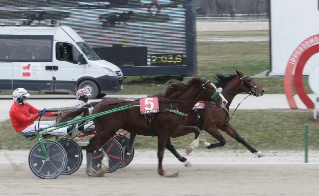 Ippica: nel mercoledì di trotto all’Ippodromo Snai La Maura, dedicato alla scuderia Indal, brilla Dolly Effe