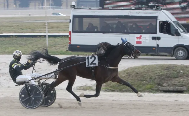 Ippica, all’Ippodromo Snai La Maura la domenica di trotto regala emozioni con Esedomani in versione extralusso nel premio Chris Evert Treb, clou della 6^ giornata stagionale