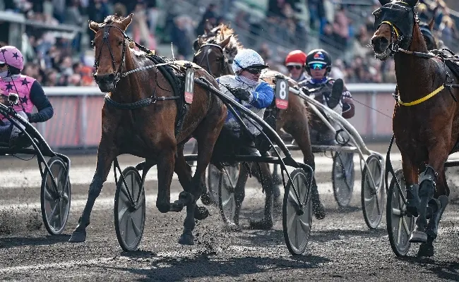 Ippica: Anact, fari puntati sui cavalli italiani al Grand Prix d'Amerique