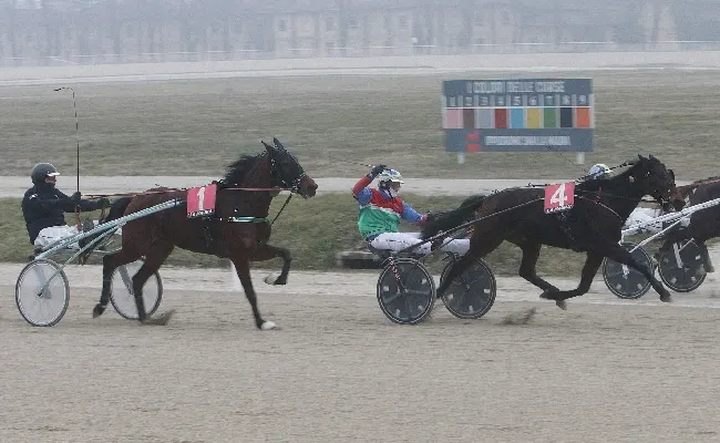 Ippica: mercoledì ultima giornata di gennaio all'ippodromo Snai La Maura, con sette corse a partire dalle 13:40