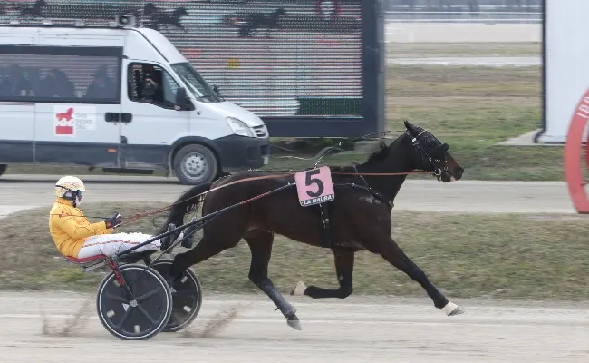Ippica: nel mercoledì di trotto all'ippodromo Snai La Maura, Cosmo Spritz si beve tutti e fa il record della pista
