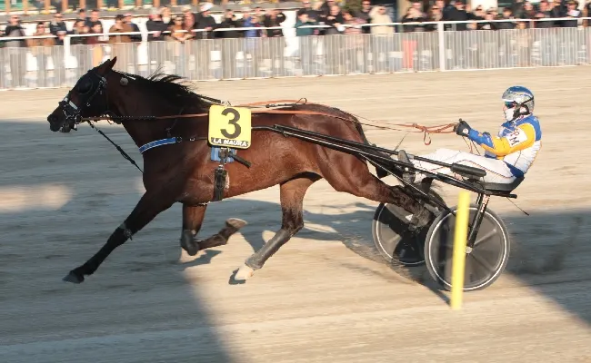 Super domenica all'Ippodromo Snai La Maura con in programma il "Gran Premio Locatelli" e tanta animazione di carnevale per famiglie e bambini. Cancelli aperti dalle 12.45, in pista dalle 13.55