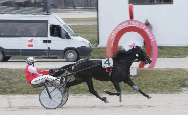 Ippica, Ippodromo Snai La Maura di Milano: il Gran Premio Mario Locatelli-Trofeo Domenico Toniatti lo vince Pietro Gubellini su Chance Ek