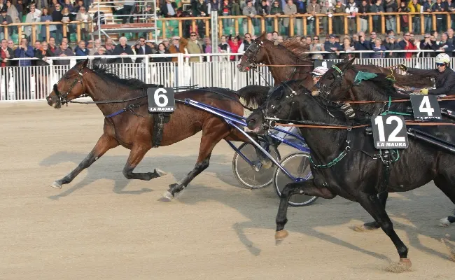 All'Ippodromo Snai La Maura di Milano domenica con grandi prestazioni. Capitano Pi sigla la corsa più importante, il Premio Mint di Jesolo