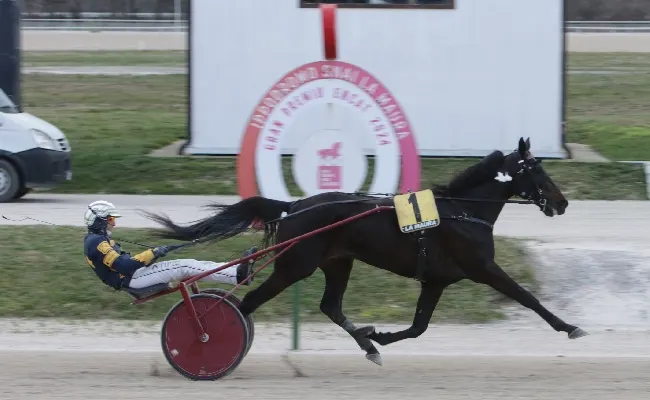 Ippica, Capital Mail si conferma nel ‘Gran Premio Encat – Trofeo Bruni Costruzioni’ in una domenica di festa tra trotto e animazione all’Ippodromo Snai La Maura di Milano