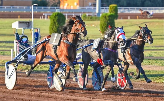 Ippica, Ippodromo Capannelle: sabato 9 marzo otto corse di trotto, il clou con il Premio Baccanali
