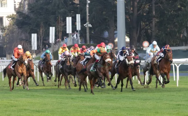 Ippica, all’Ippodromo Snai San Siro un altro bel sabato tra corse, intrattenimento e il tour per scorpre le bellezze dello storico impianto milanese. Al via dalle ore 14