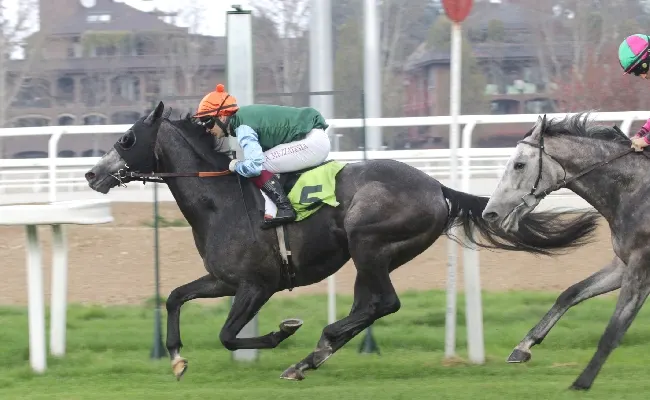 Ippica: all’Ippodromo Snai San Siro mercoledì 3 aprile con sei corse tra cui il Premio dei Laghi