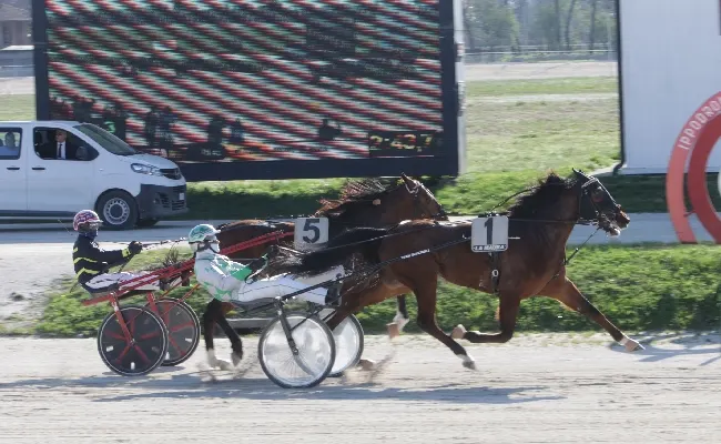 Ippica, il venerdì all’Ippodromo Snai La Maura premia Demetrio che si aggiudica la prova in onore della Scuderia Leonardo. Commosso ricordo del compianto Ubaldo La Porta
