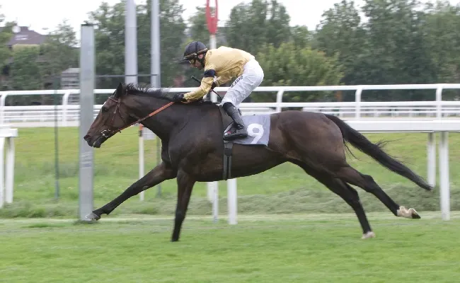 Ippica: all’Ippodromo Snai San Siro brilla Tendentious nel Premio Lombardia nella riunione di galoppo del giovedì