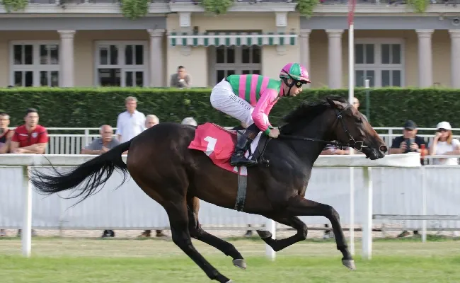 All’Ippodromo Snai San Siro doppia giornata di galoppo: giovedì 13 il Premio Avvenire, il Morigi e il Ravier. Venerdì 14 in scena il Premio Tramuschio e il Boffalora