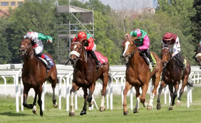 Ippica, l'Ippodromo Snai San Siro fa il bis anche di venerdì con una nuova giornata di galoppo in cui emergono il Premio Tramuschio e il Premio Boffalora. Al via dalle 16:45