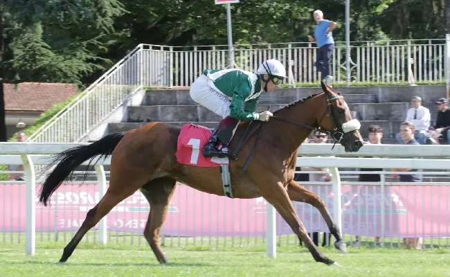 Ippica, all’Ippodromo Snai San Siro l’Avvenire è di Feeling Right, il Morigi di Arabian Legend e il premio Ravier di Alburno. Convince Eyelashes nella Maiden sui 1.200 metri