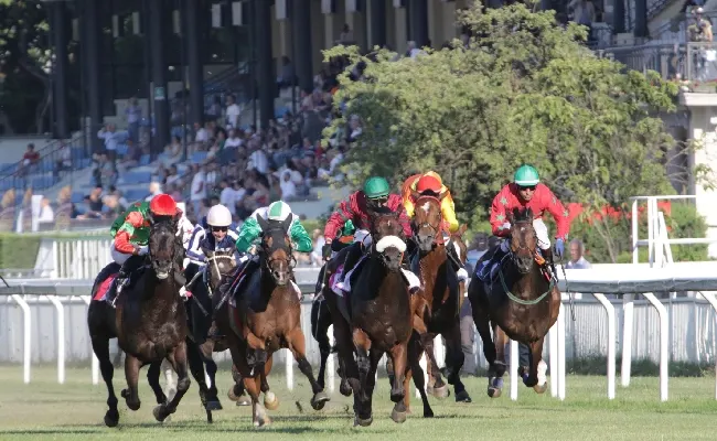 Ippica, all’Ippodromo Snai San Siro preserale del venerdì con il Premio Bersaglio in attesa della super domenica con i Primi Passi, il Vittadini e il GP di Milano