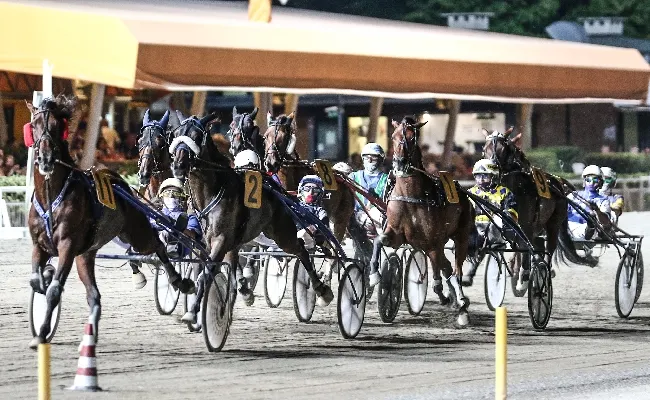 Ippica: Ouverture all'ippodromo di Cesena venerdì 21 giugno con il Premio Bronchi Combustibili