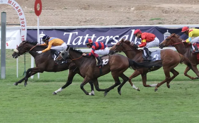 Ippica, all’Ippodromo Snai San Siro mercoledì da non perdere con in pista il premio trenno e la Coppa d'Oro. Sette corse dalle ore 18:15