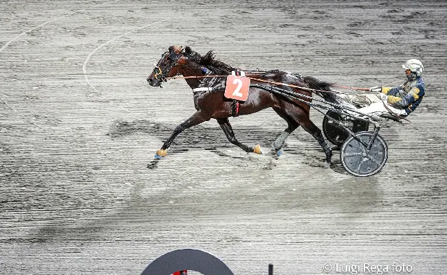 Ippica, Ippodromo Cesena Trotto: Premio Circolo Aurora Forlì, il resoconto delle corse di martedì 25 giugno
