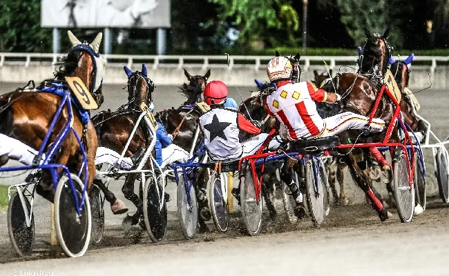 Ippica, Ippodromo di Cesena: sabato 29 giugno gentlemen e amazzoni sulla pista del Savio