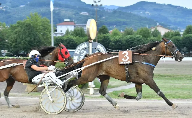 Ippica, all’Ippodromo Snai Sesana sabato sera con la delusione azzurra agli Europei di calcio e con la conferma in pista di Flodoro Bar nel Premio Giuseppe Verdi
