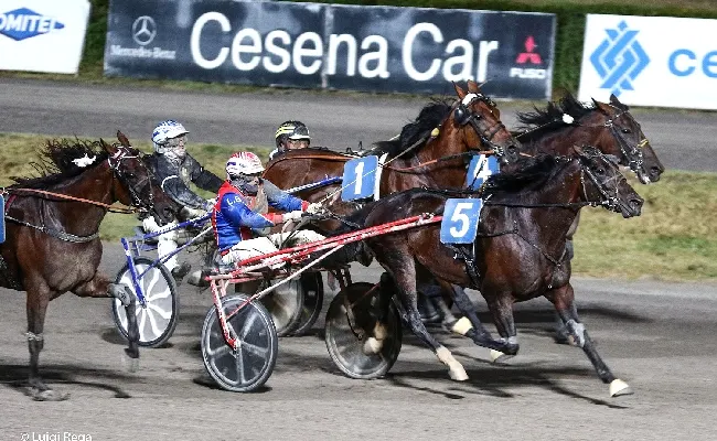 Ippica. Ippodromo Cesena Trotto: resoconto delle corse di sabato 29 giugno 2024