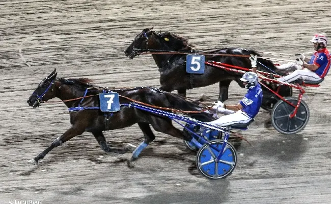 Ippica, ippodromo Cesena Trotto: martedì 2 luglio otto corse e la tqq