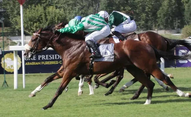 Ippica: all'Ippodromo Snai San Siro mercoledì che chiude la prima parte della stagione di galoppo con il De Montel a Bridge Ashi Kun e con Fast Spirit per il Mantovani