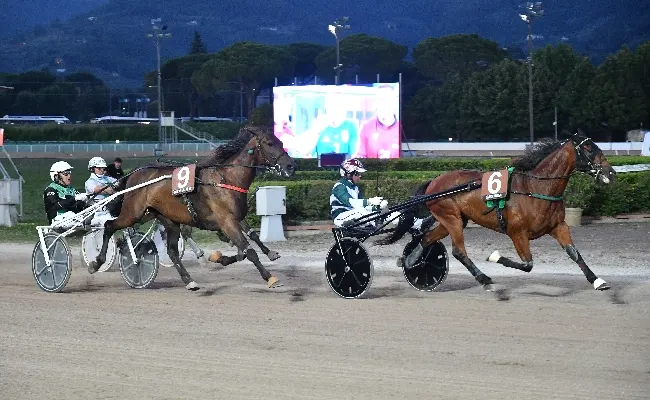 Ippica: sette corse, più intrattenimento e tante emozioni. E' questo il sabato sera all’Ippodromo Snai Sesana