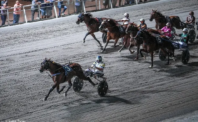 Ippica: all'Ippodromo di Cesena sabato 6 luglio Gran Premio Riccardo Grassi-Trofeo HID